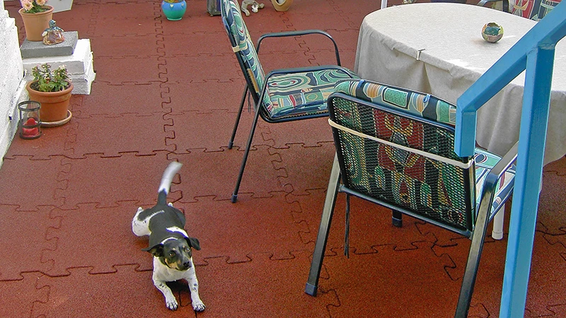 Na fotografii vidno balkón pokrytý červenými puzzle doskami WARCO. Malý pes sa voľne pohybuje po pružnom, protišmykovom povrchu, zatiaľ čo posedenie láka na spoločné chvíle. Podlaha chráni podklad pred vlhkosťou a poškodeniami, je ľahko udržiavateľná a odolná voči poveternostným vplyvom. Vďaka tomu zostáva tento vonkajší priestor príjemným miestom na oddych po dlhé roky.